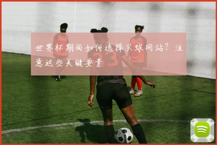 世界杯期间如何选择买球网站？注意这些关键要素