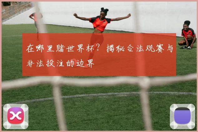 在哪里赌世界杯?揭秘合法观赛与非法投注的边界