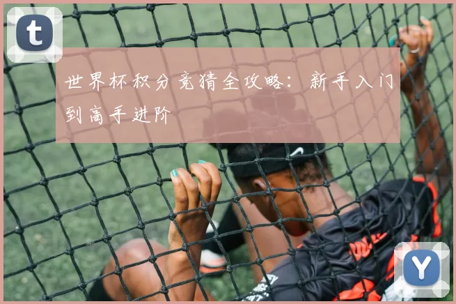世界杯积分竞猜全攻略：新手入门到高手进阶