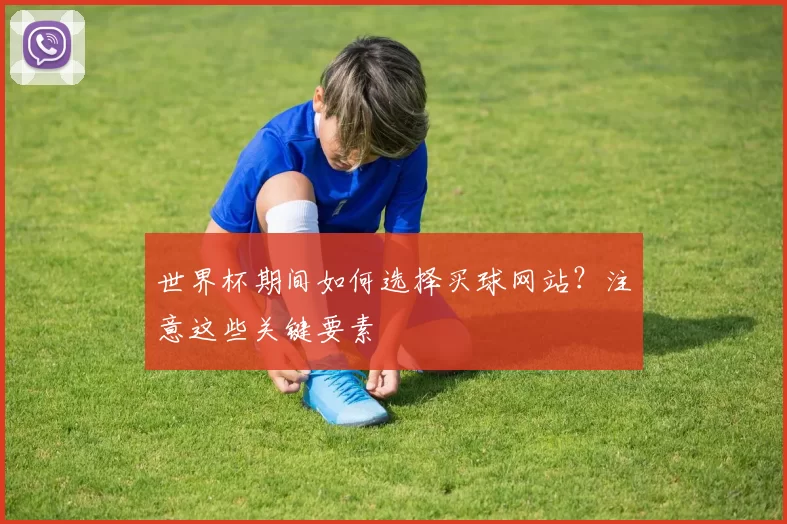 世界杯期间如何选择买球网站？注意这些关键要素