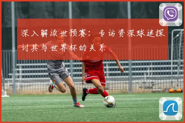 深入解读世预赛：专访资深球迷探讨其与世界杯的关系