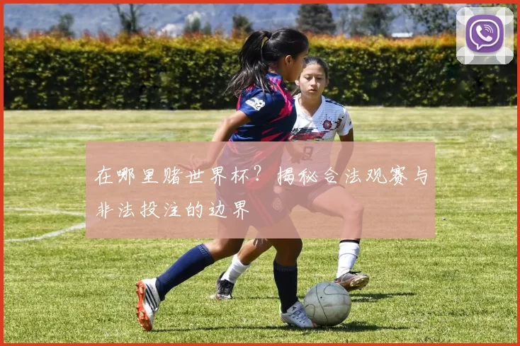 在哪里赌世界杯?揭秘合法观赛与非法投注的边界