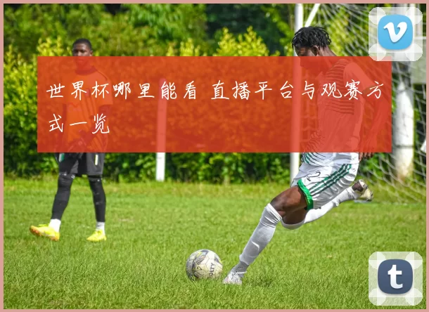 世界杯哪里能看 直播平台与观赛方式一览