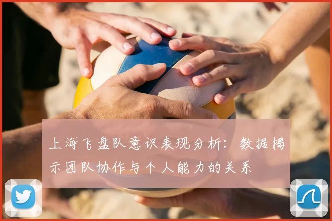 上海飞盘队意识表现分析：数据揭示团队协作与个人能力的关系
