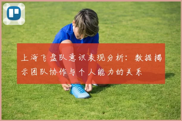 上海飞盘队意识表现分析：数据揭示团队协作与个人能力的关系