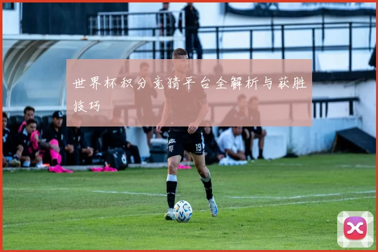 世界杯积分竞猜平台全解析与获胜技巧