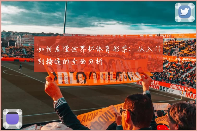 如何看懂世界杯体育彩票：从入门到精通的全面分析