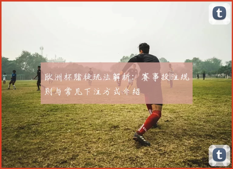 欧洲杯赌徒玩法解析:赛事投注规则与常见下注方式介绍