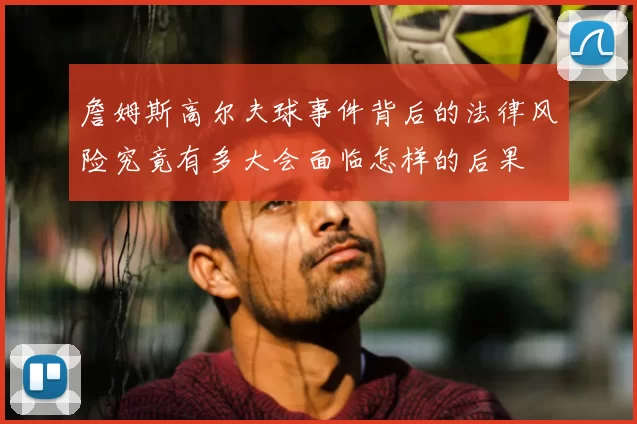 詹姆斯高尔夫球事件背后的法律风险究竟有多大会面临怎样的后果