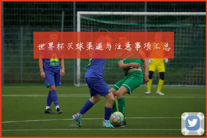 世界杯买球渠道与注意事项汇总