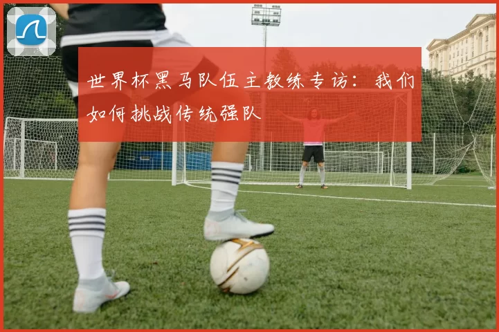 世界杯黑马队伍主教练专访:我们如何挑战传统强队