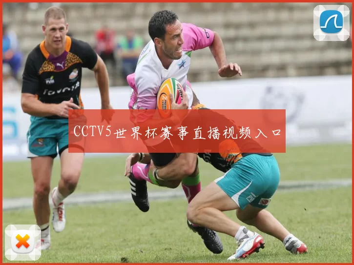 CCTV5世界杯赛事直播视频入口